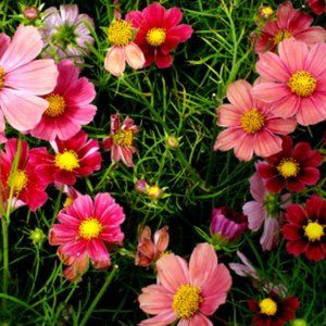 Stunning yellow and white handbag